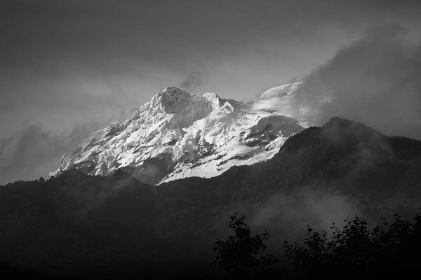 Dark Mountain Apparel Co logo